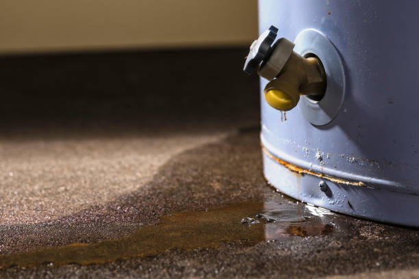 Best Flooded house restoration  in Ardmore, PA