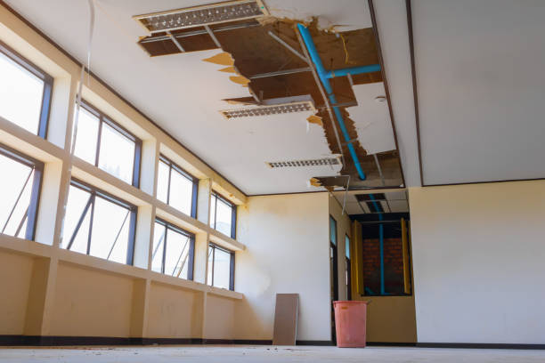 Best 24/7 water damage repair  in Ardmore, PA