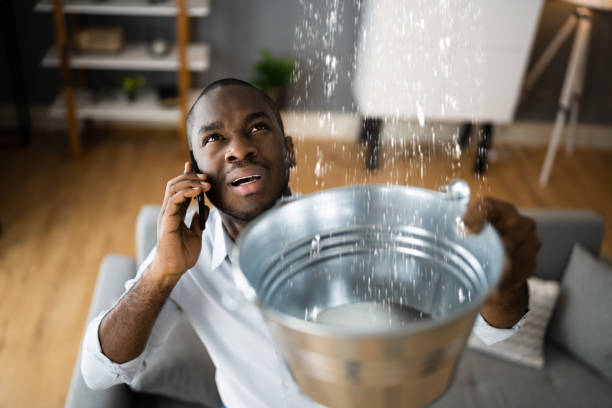 Best Mold removal after water damage  in Ardmore, PA