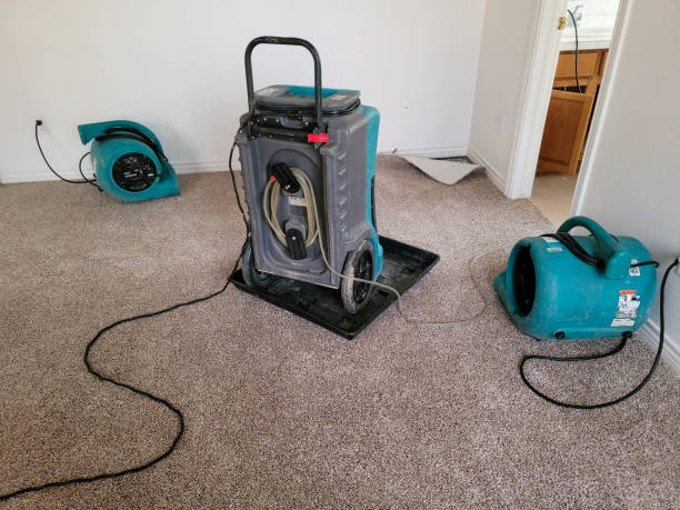Best 24-hour water damage restoration  in Ardmore, PA