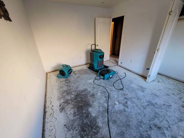Best Residential water damage restoration  in Ardmore, PA