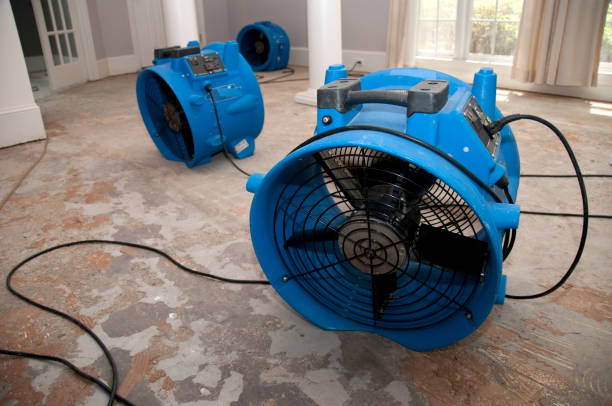 Best Flood restoration services  in Ardmore, PA