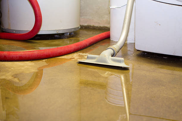 Best Water damage restoration specialists  in Ardmore, PA